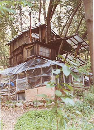 treehouse.jpg