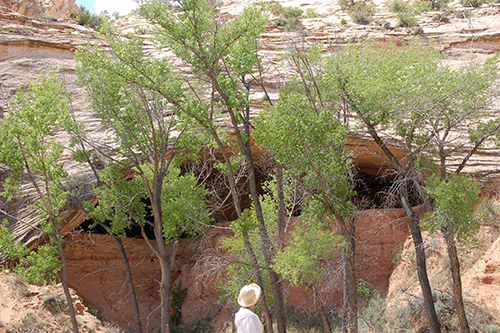 numerous old Puebloan sites by path opening_site_3.jpg